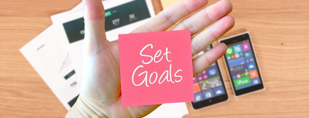 Set Goals for your Business Survey
