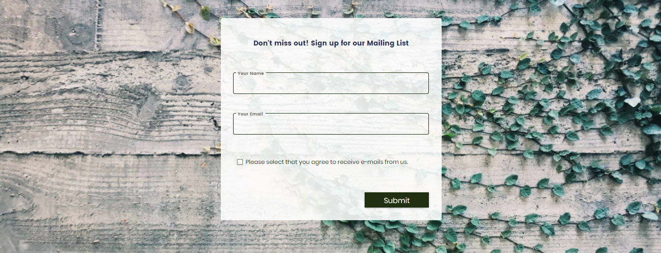 Lead Generation Form