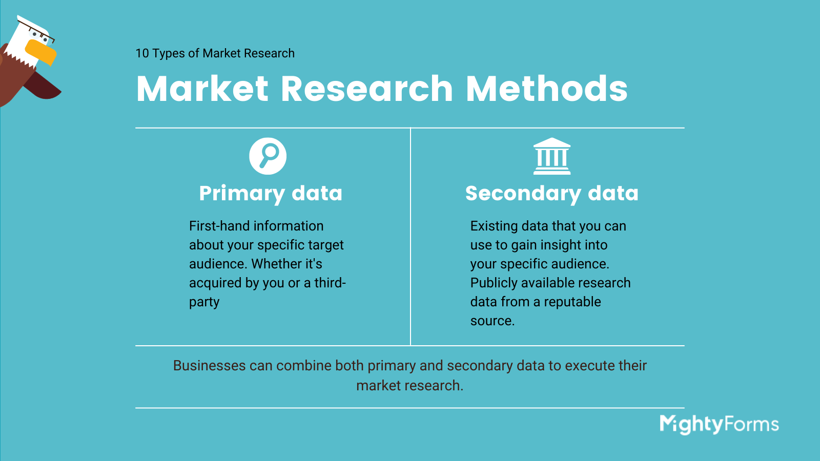 market research methods infographic  primary vs secondary data  FormBuilder